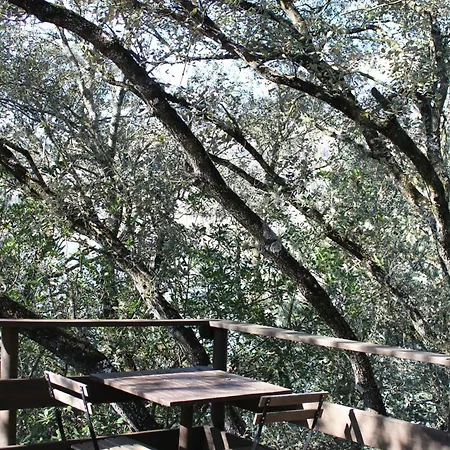Campsite Ares Ecoresort Camarasa